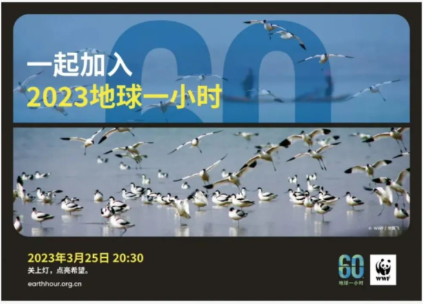 地球一小时|永乐app邀您共同为环保助力