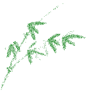 仲夏萦香，欢“粽”时光│永乐app端午节特别活动圆满举行(图7)